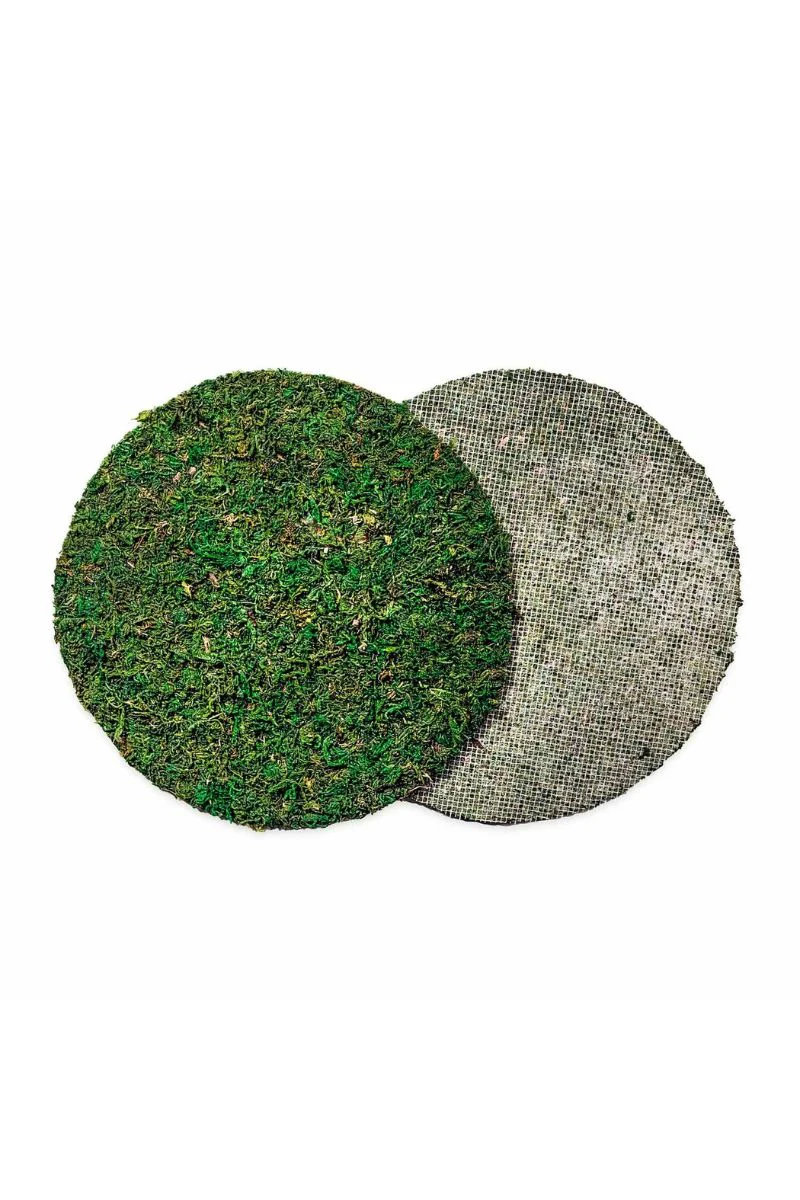 SuperMoss Instant Green Soil Toppers 14" Round 3 Pack - Image 4