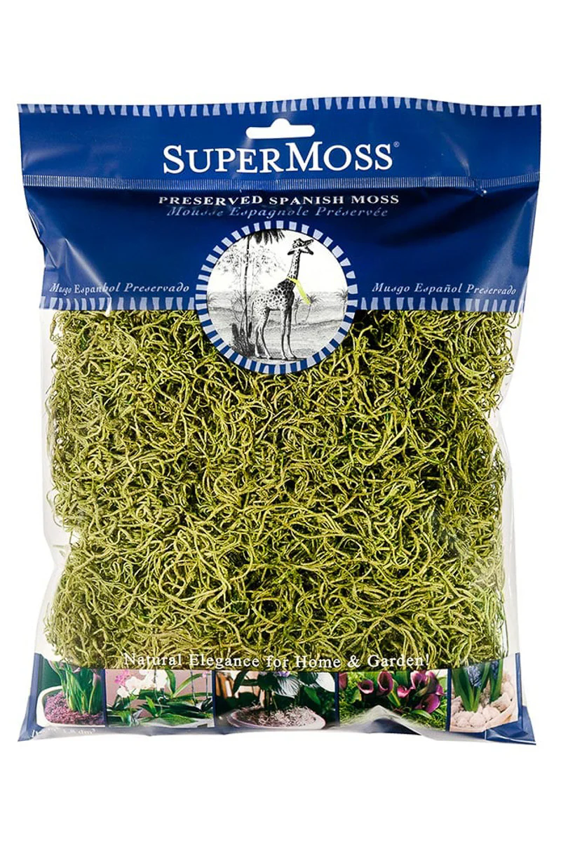 SuperMoss Preserved Spanish Moss Chartruese 8 oz - Image 2