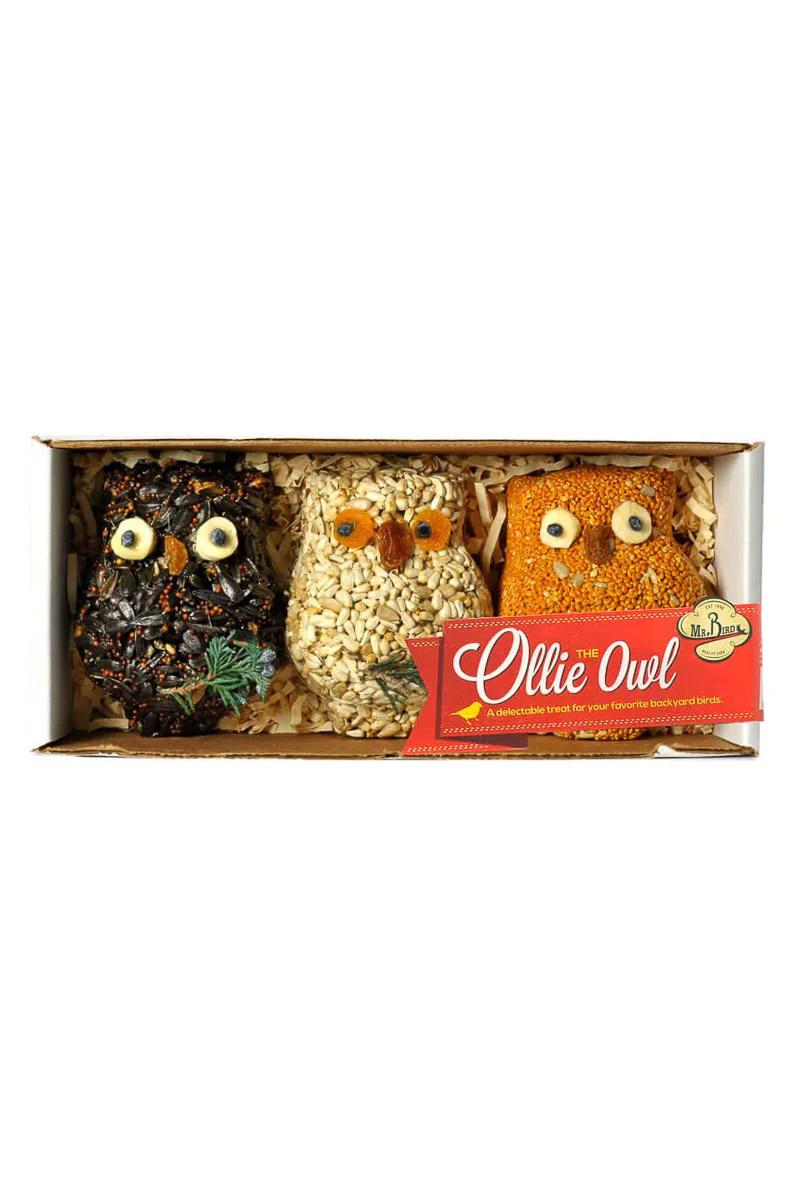 Mr. Bird Ollie Owl - Image 3