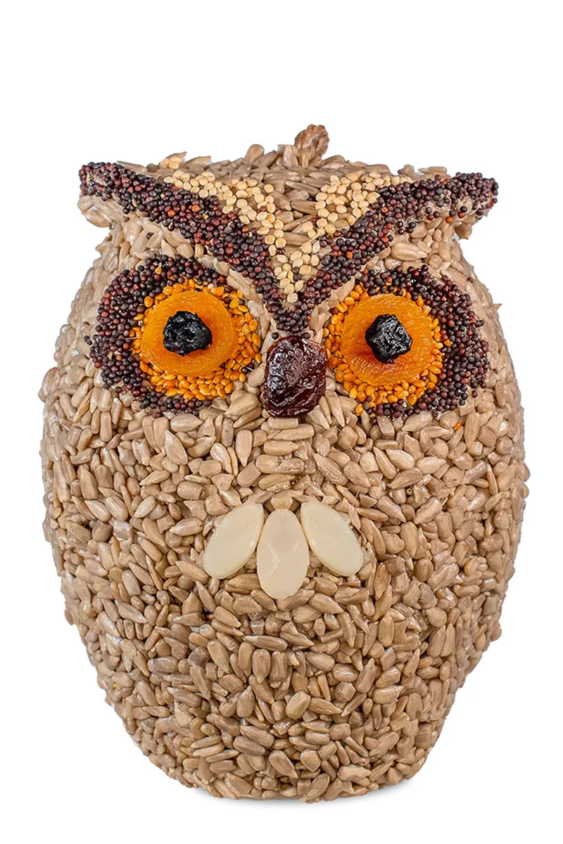 Mr. Bird Whoo-lio The Owl - Image 2