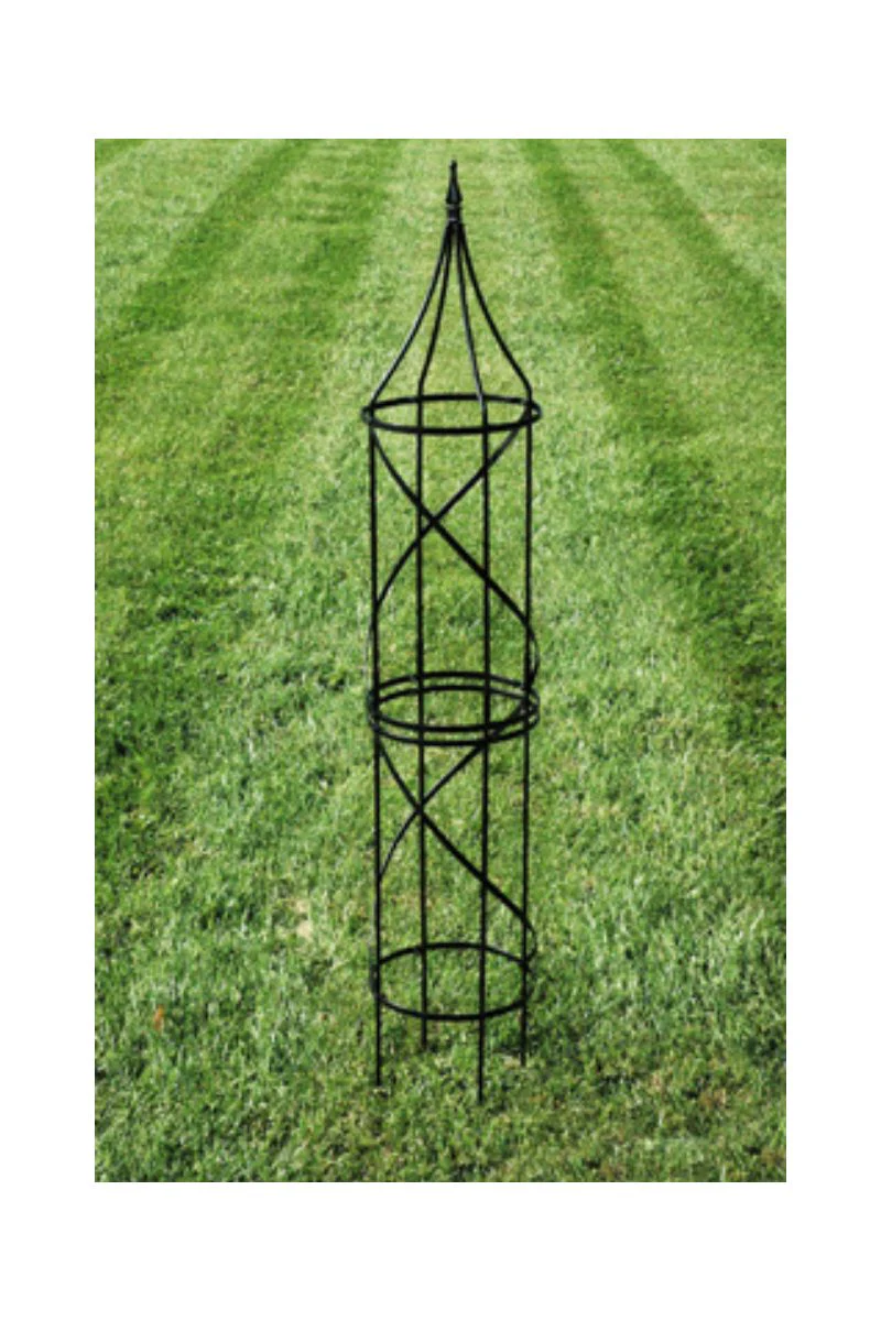 Border Tuteur Large Black