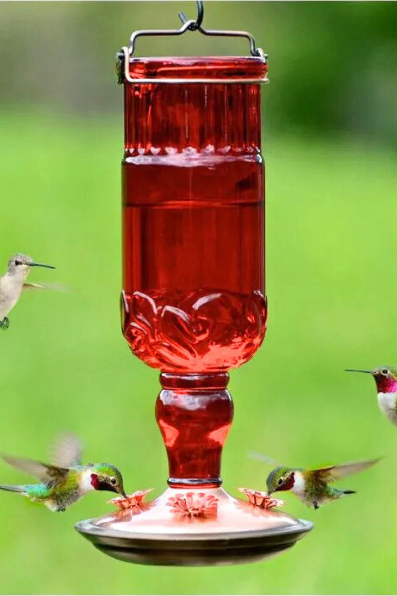 Perky Pet Antique Bottle Hummingbird Feeder  Antique Red  24 oz