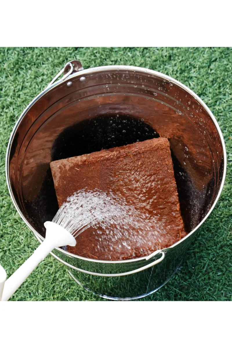 PlantBest Coconut Coir Growing Mix 8qt - Image 2