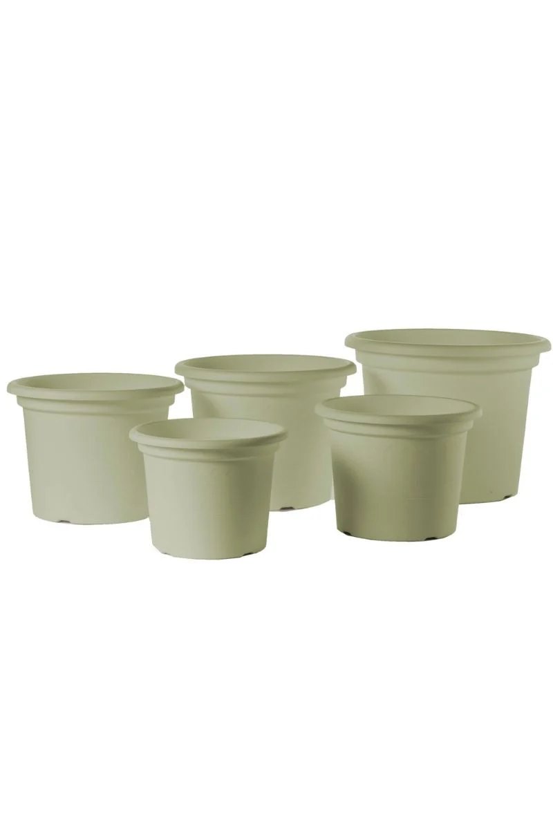 Geo Planter 11.75" Rosemary