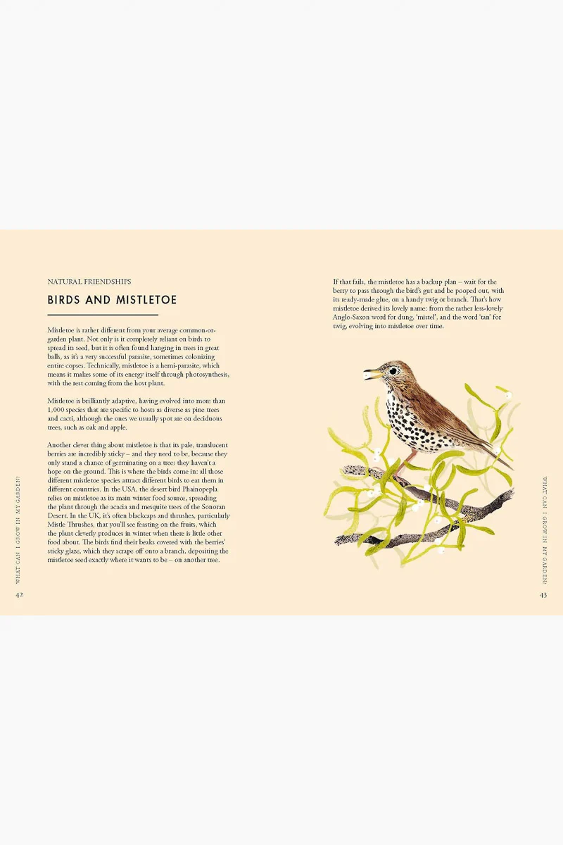Planting Wildflowers: A Grower's Guide - Image 2