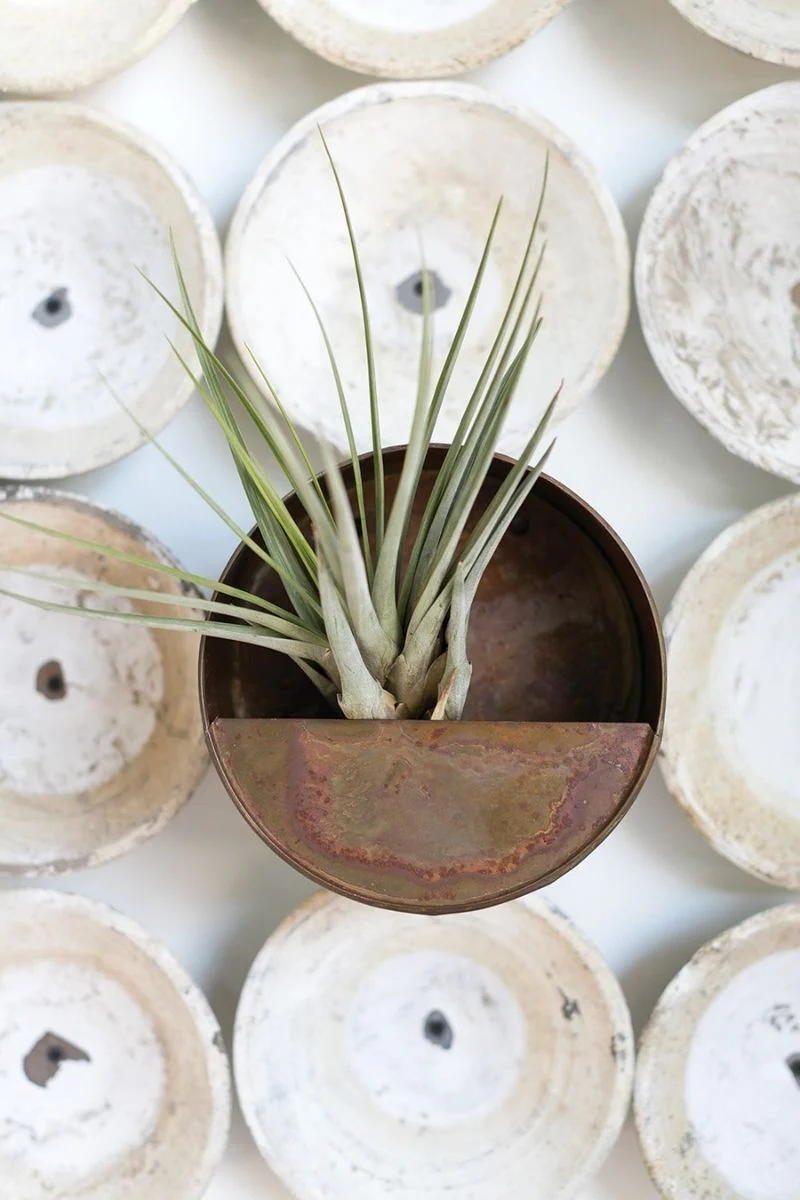 Planter Bailey Wall Hanger 8" Rust