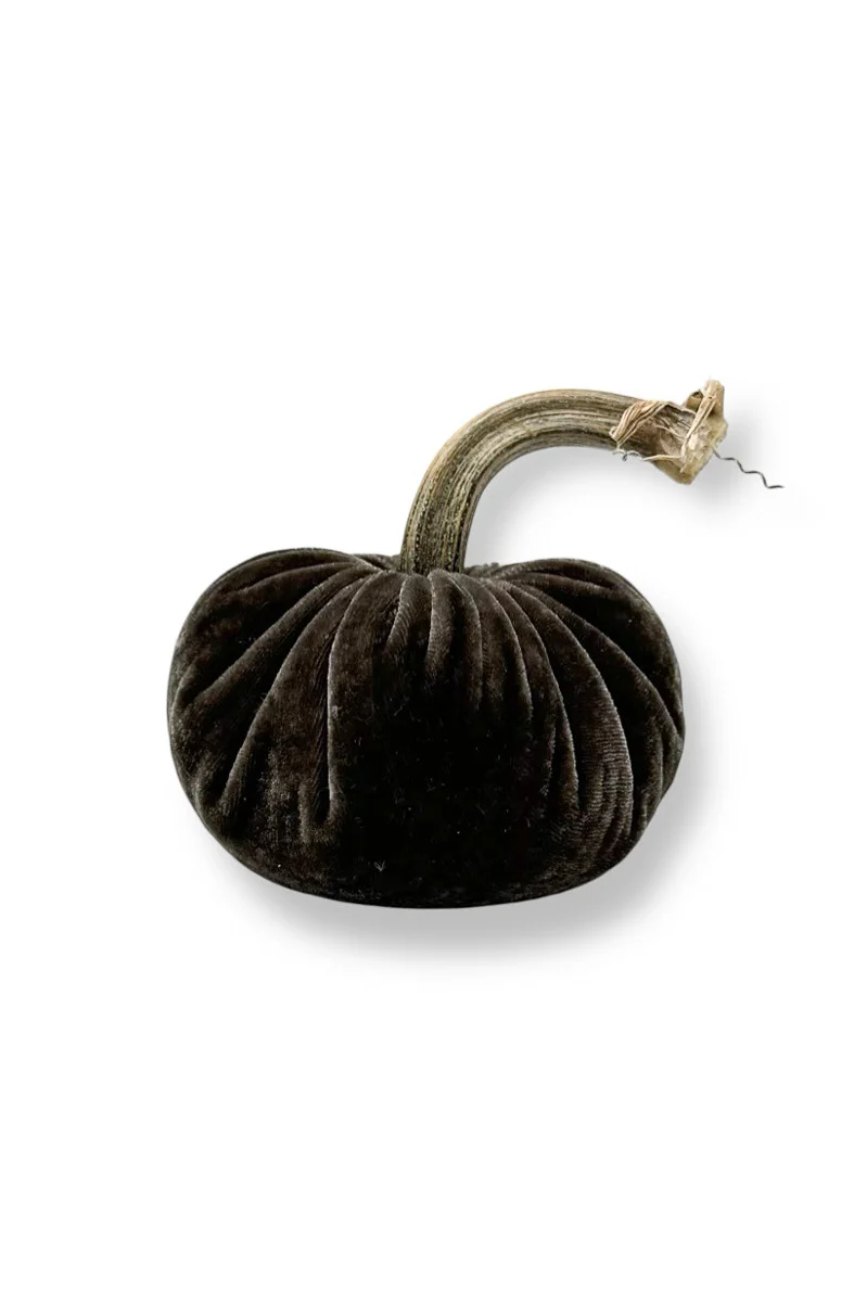 Plush Pumpkin Velvet Pumpkin 10" Coal