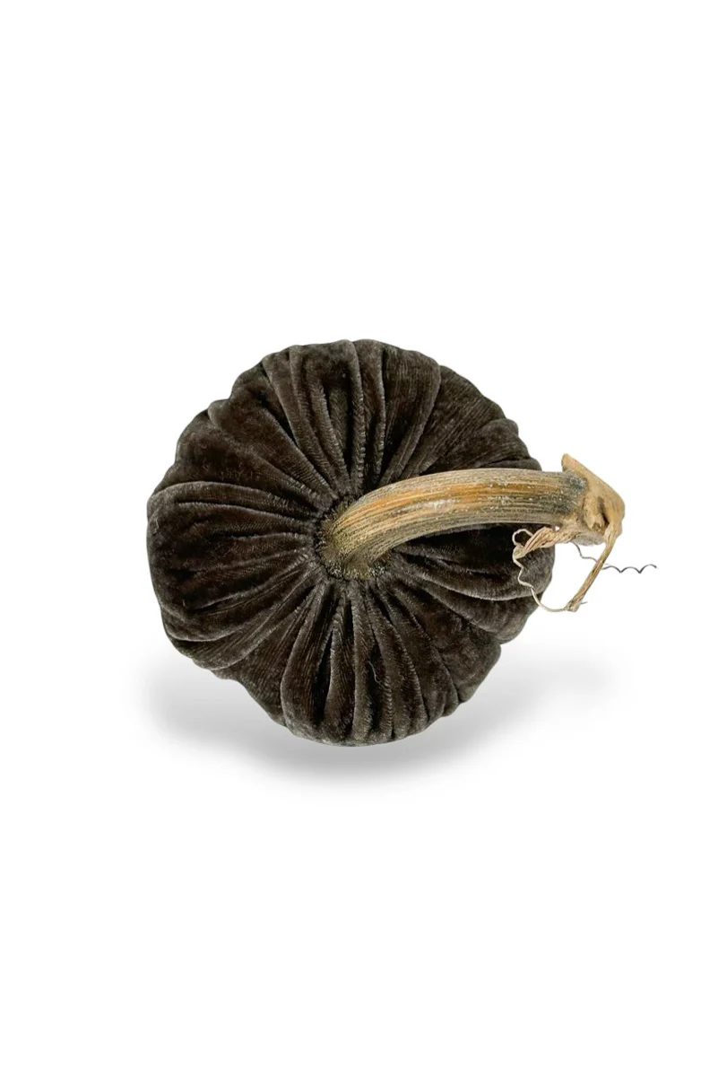 Plush Pumpkin Velvet Pumpkin 10" Coal - Image 2