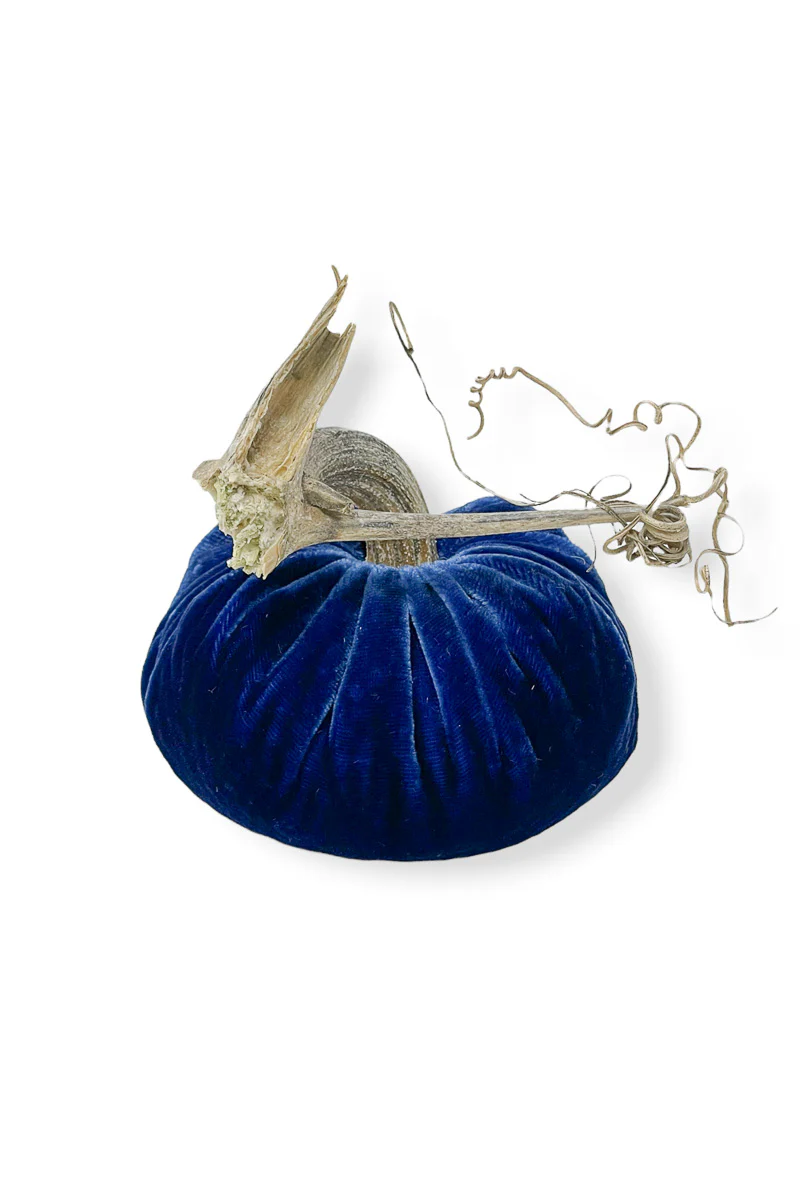 Plush Pumpkin Velvet Pumpkin 4" Sapphire - Image 2