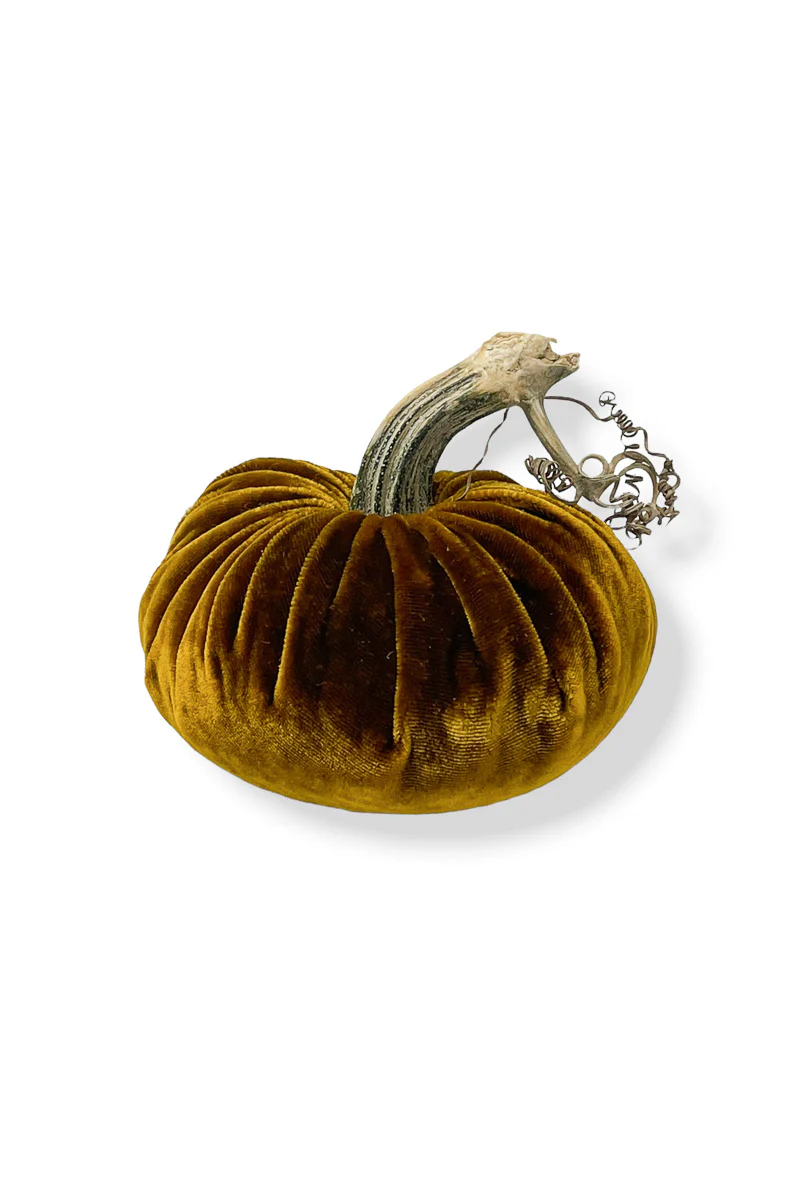 Plush Pumpkin Velvet Pumpkin 10" Harvest