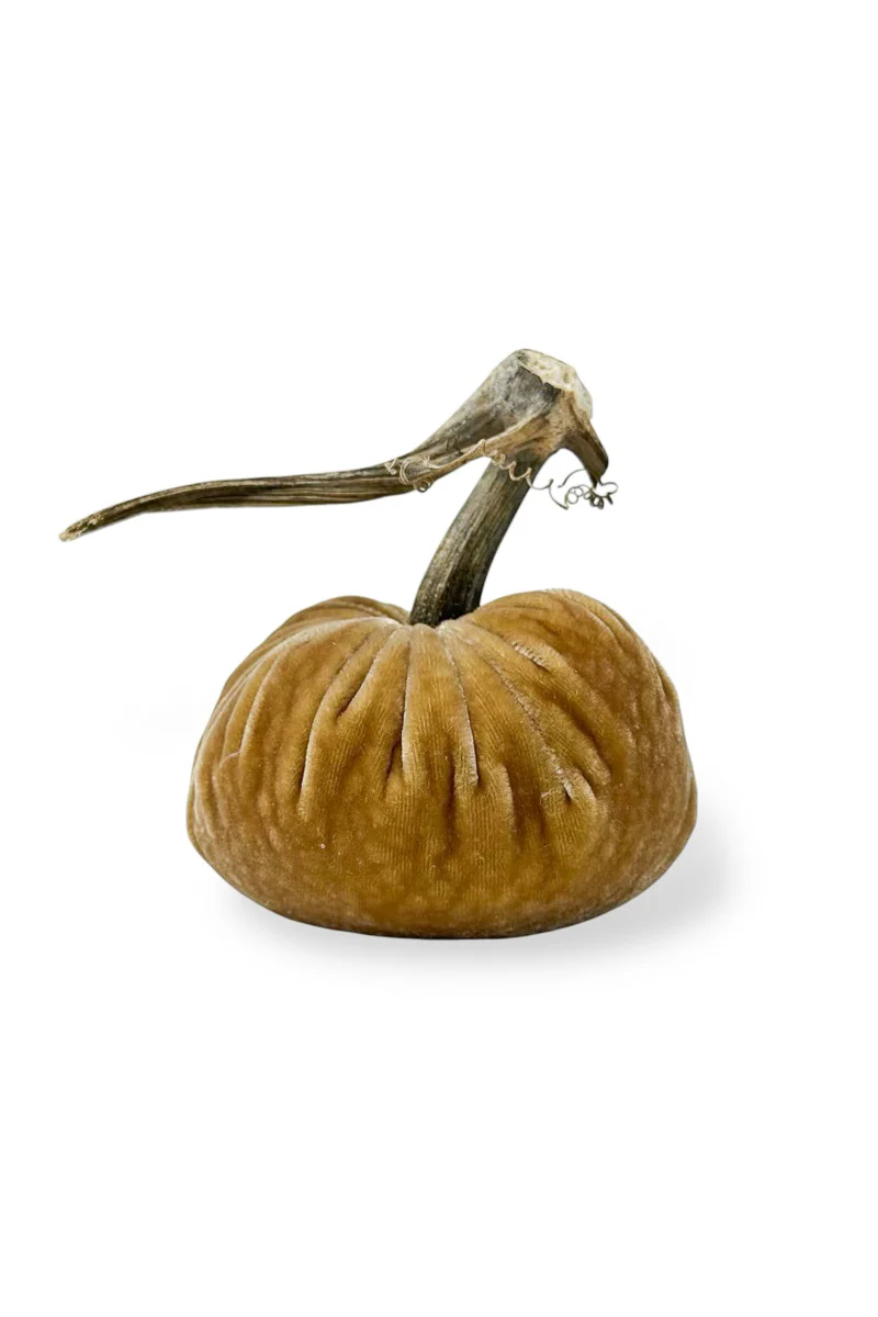 Plush Pumpkin Velvet Pumpkin 8" Honey