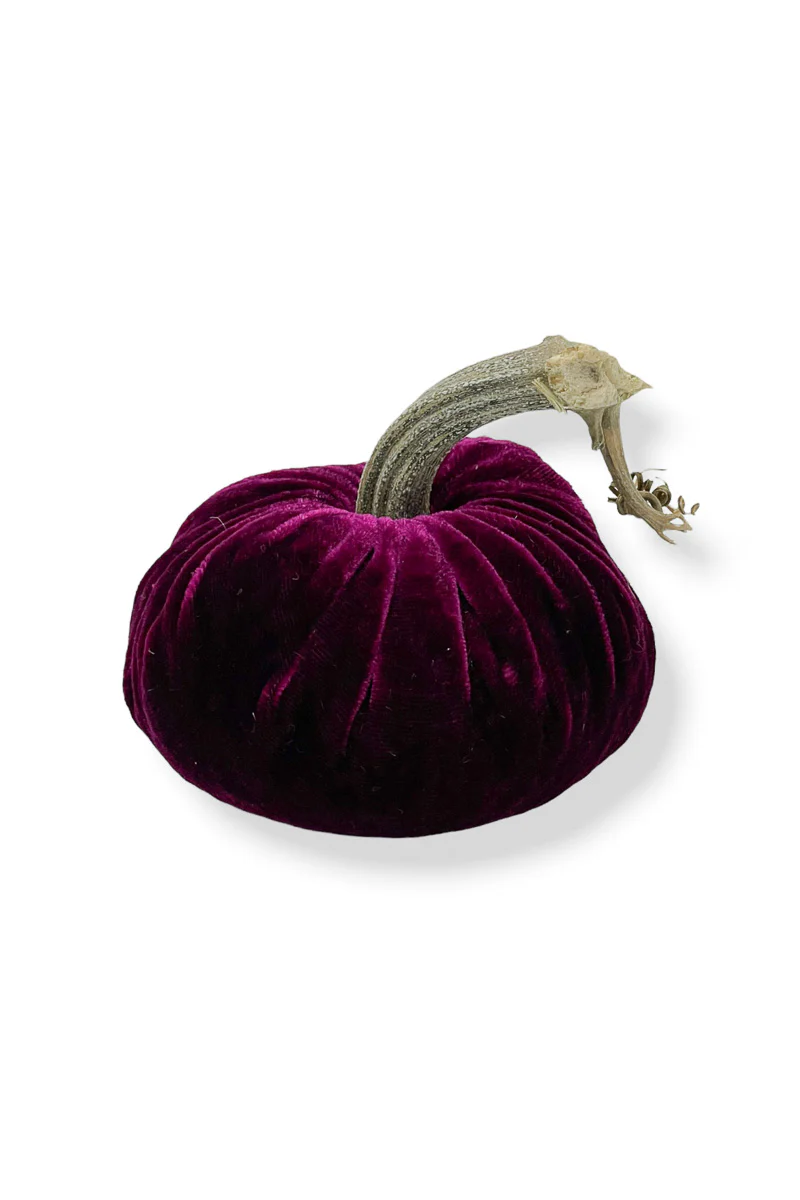Plush Pumpkin Velvet Pumpkin 4" Magenta - Image 2