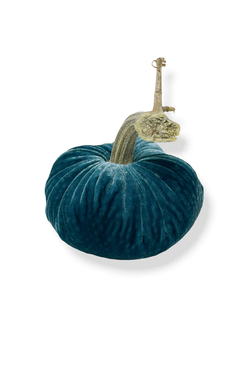 Plush Pumpkin Velvet Pumpkin 5" Peacock - Image 2