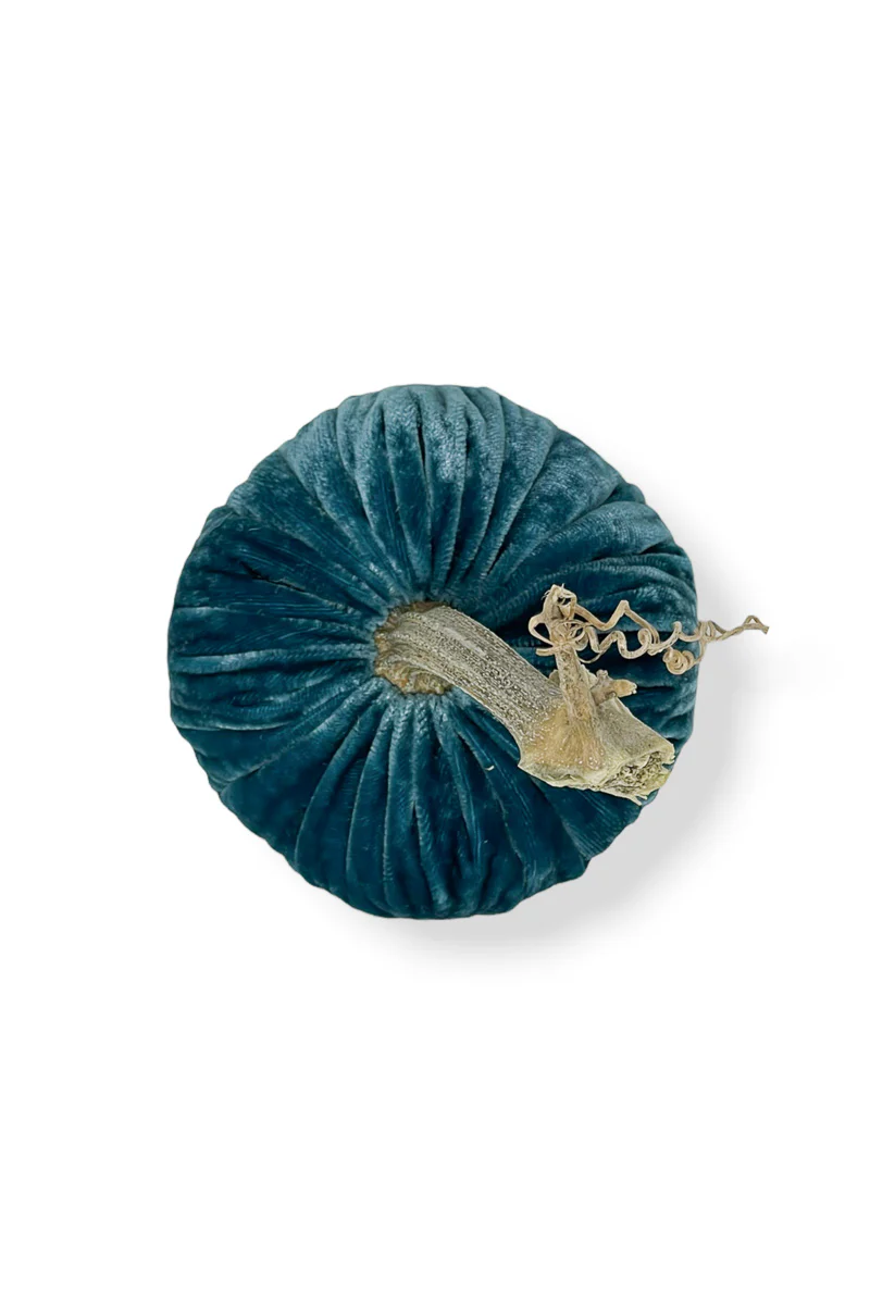 Plush Pumpkin Velvet Pumpkin 5" Peacock - Image 3