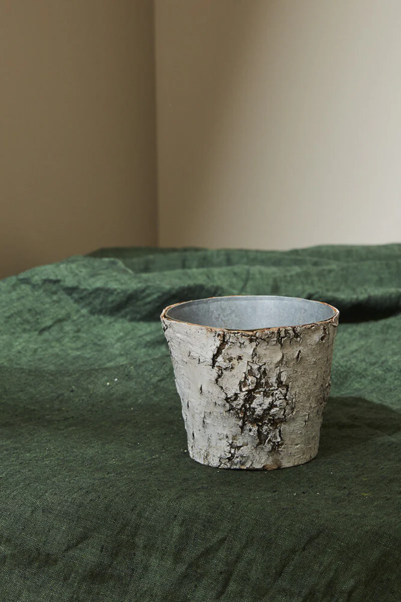 Birch Pot with Zinc 5"x 4.25"