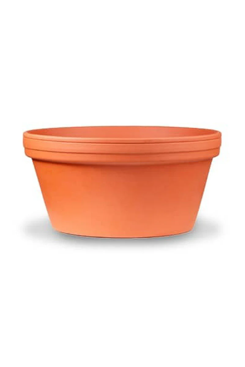 Bonsai Cactus Planter 9.5" Terra Cotta