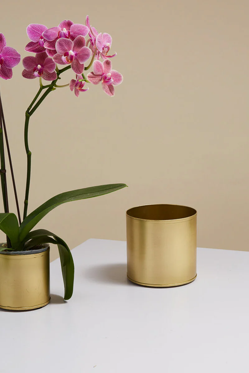 Bryant Pot 4.25"x 4" Gold