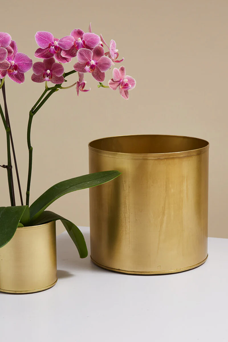 Bryant Pot 8.25"x 8" Gold