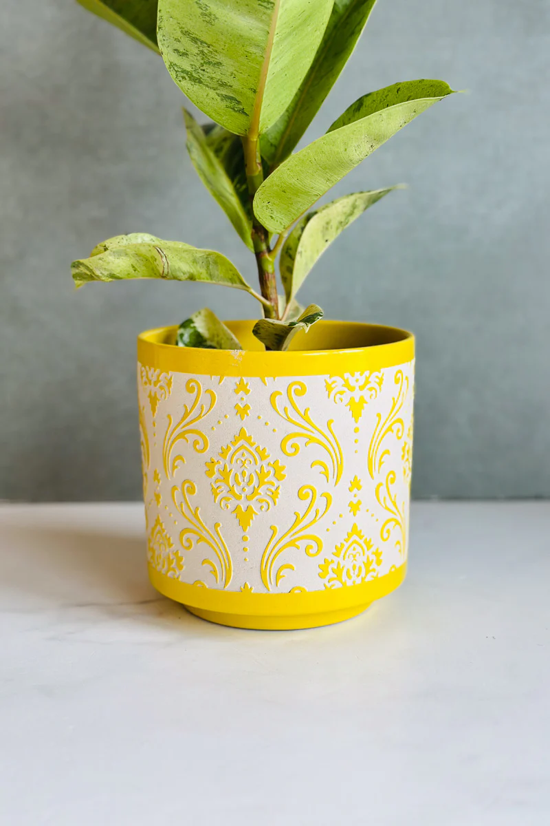 POT DITZY PATTRN PLANTER 5.75"