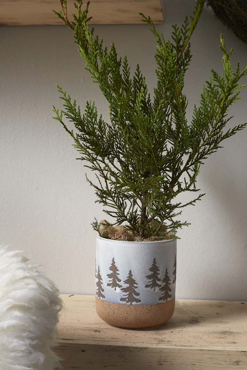 Forrest Pot 5"x 5.5"