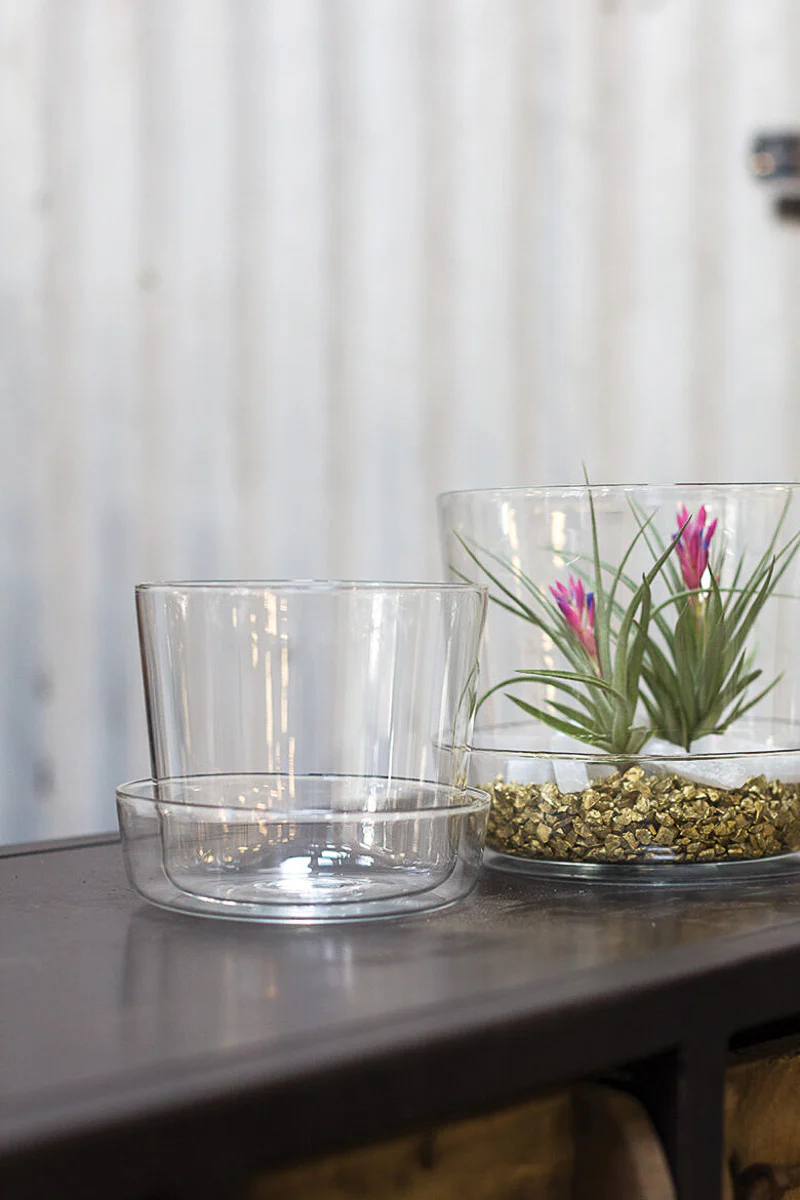 Pot, Glass W/Scr 4.75"X 4" Clr