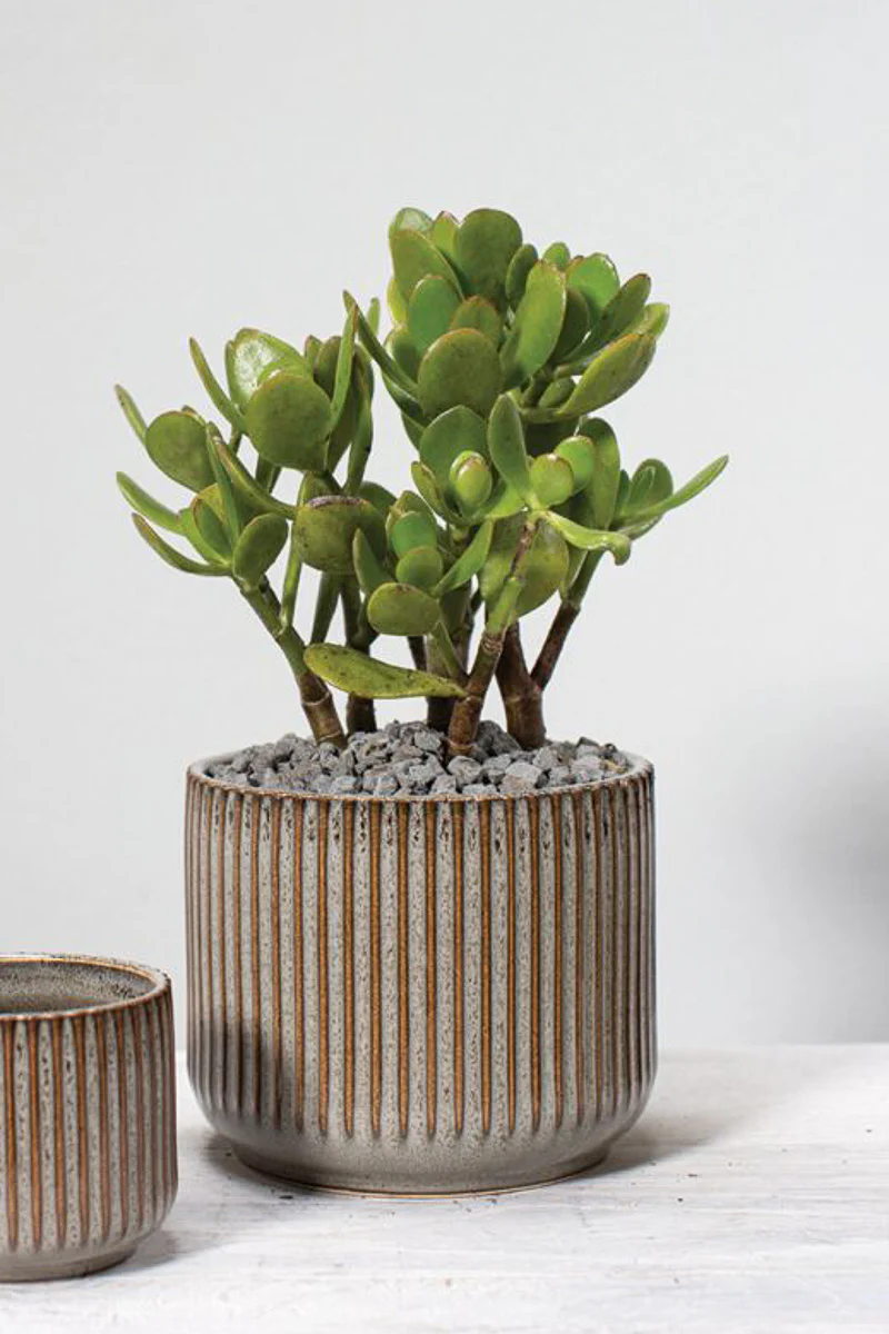 Habitat Pot 5.25"x4.25" Grey