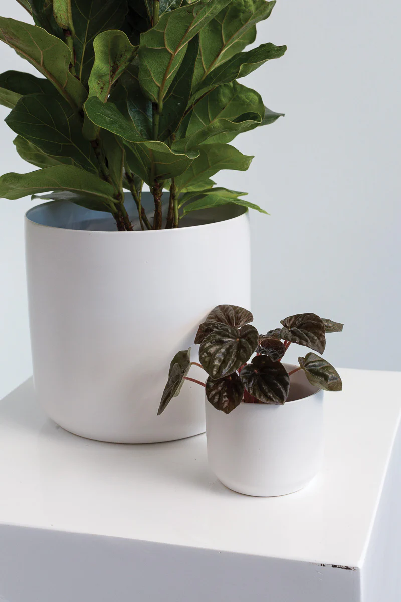 Kendall Pot 3.25"x 2.75"