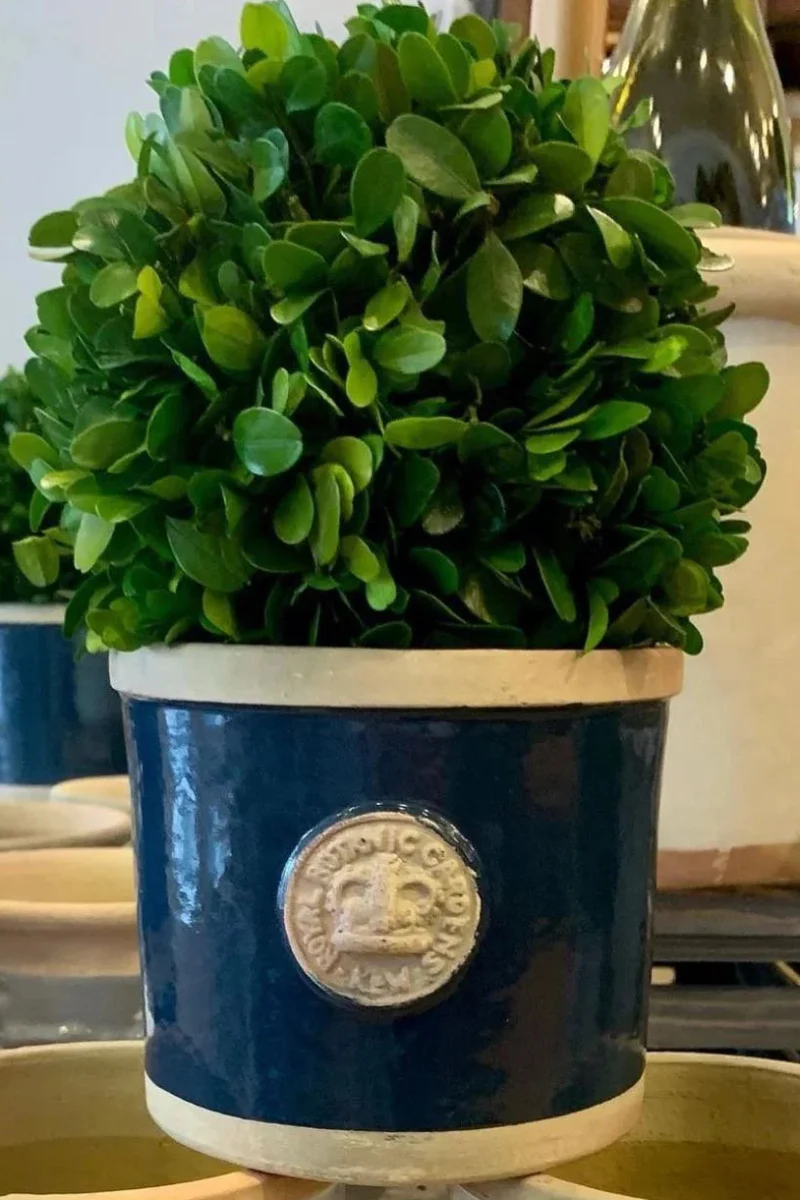 Chelsea Kew Round Herb Planter 4" Stiffkey Blue