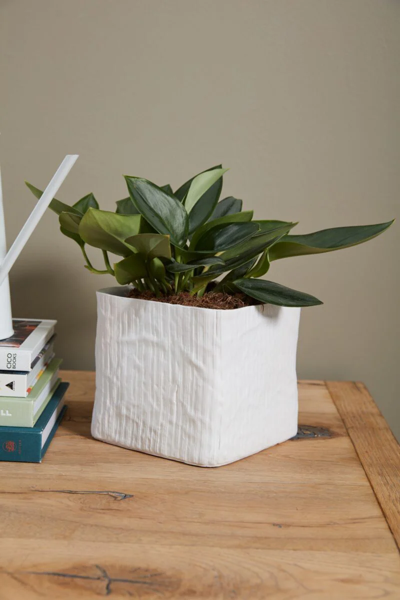Linen Cube Planter 6.75" x 6.25" White