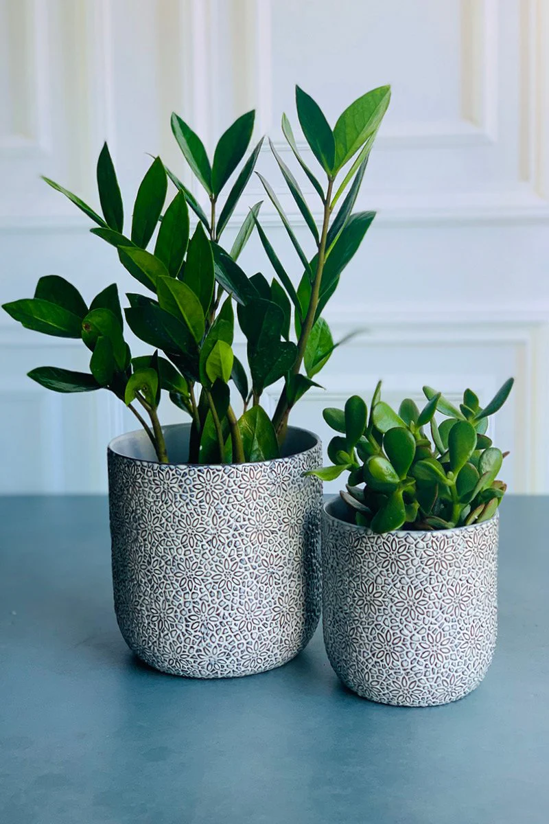 Millie Pot 5"x4.5" White