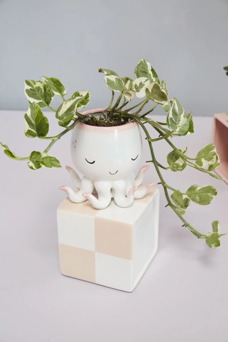 Open Arms Octopus Pot 6"x 4.75" Multi