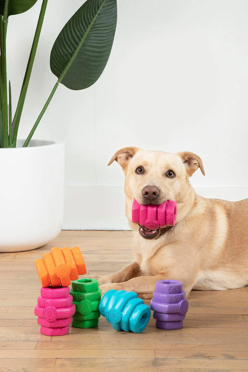 Project Hive Berry Chew Toy LG - Image 2