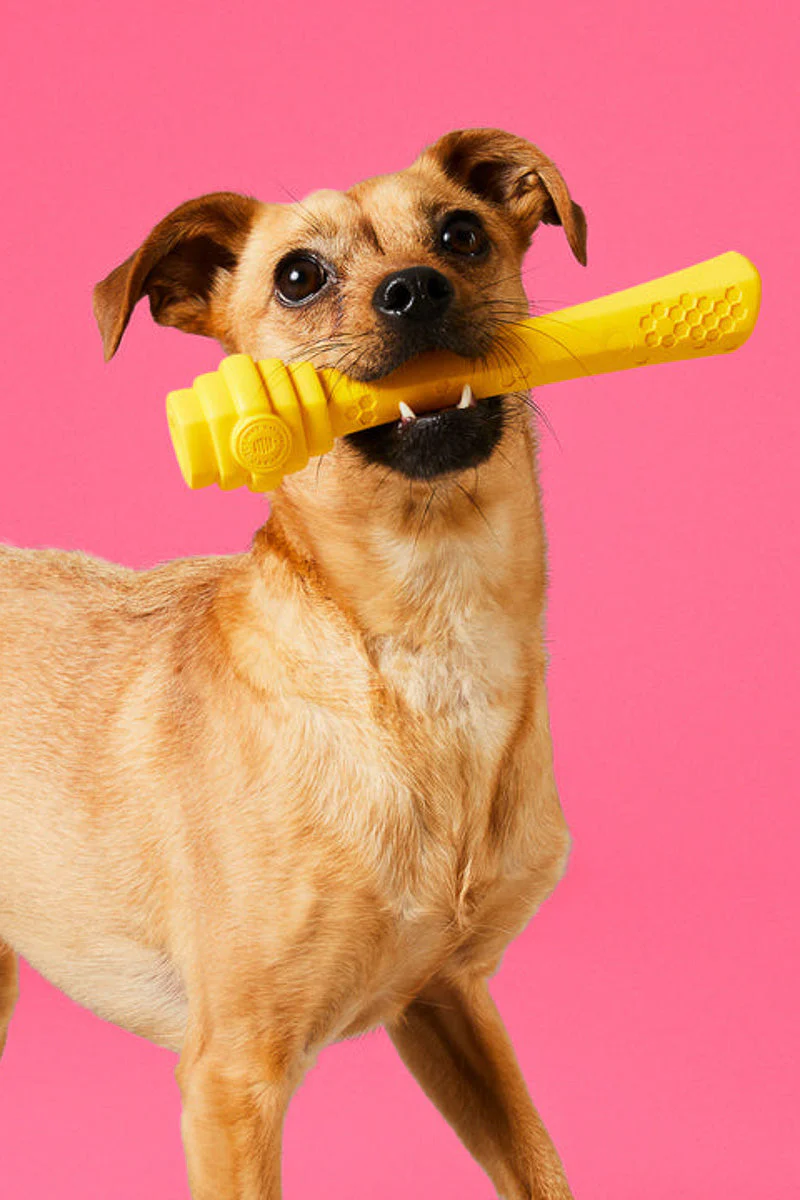 Project Hive Fetch Stick - Image 3