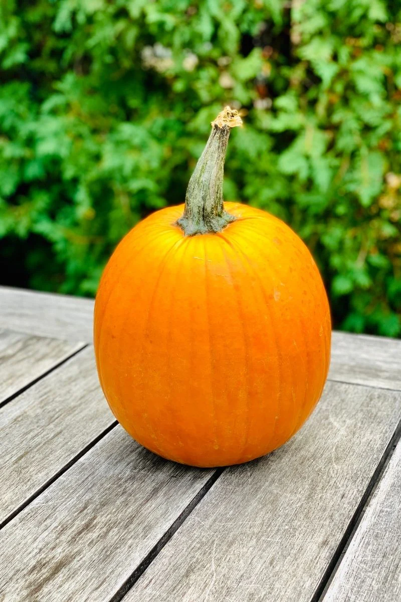Pumpkin, Carving - Image 2