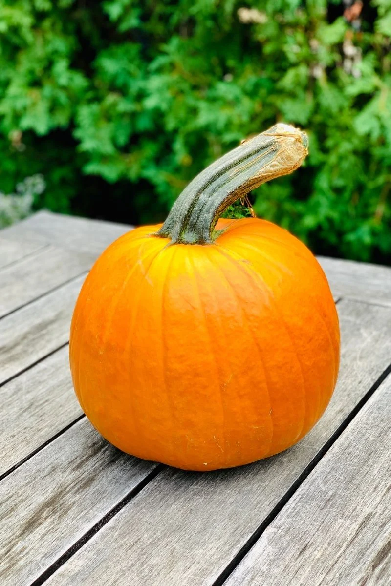 Pumpkin, Carving - Image 3