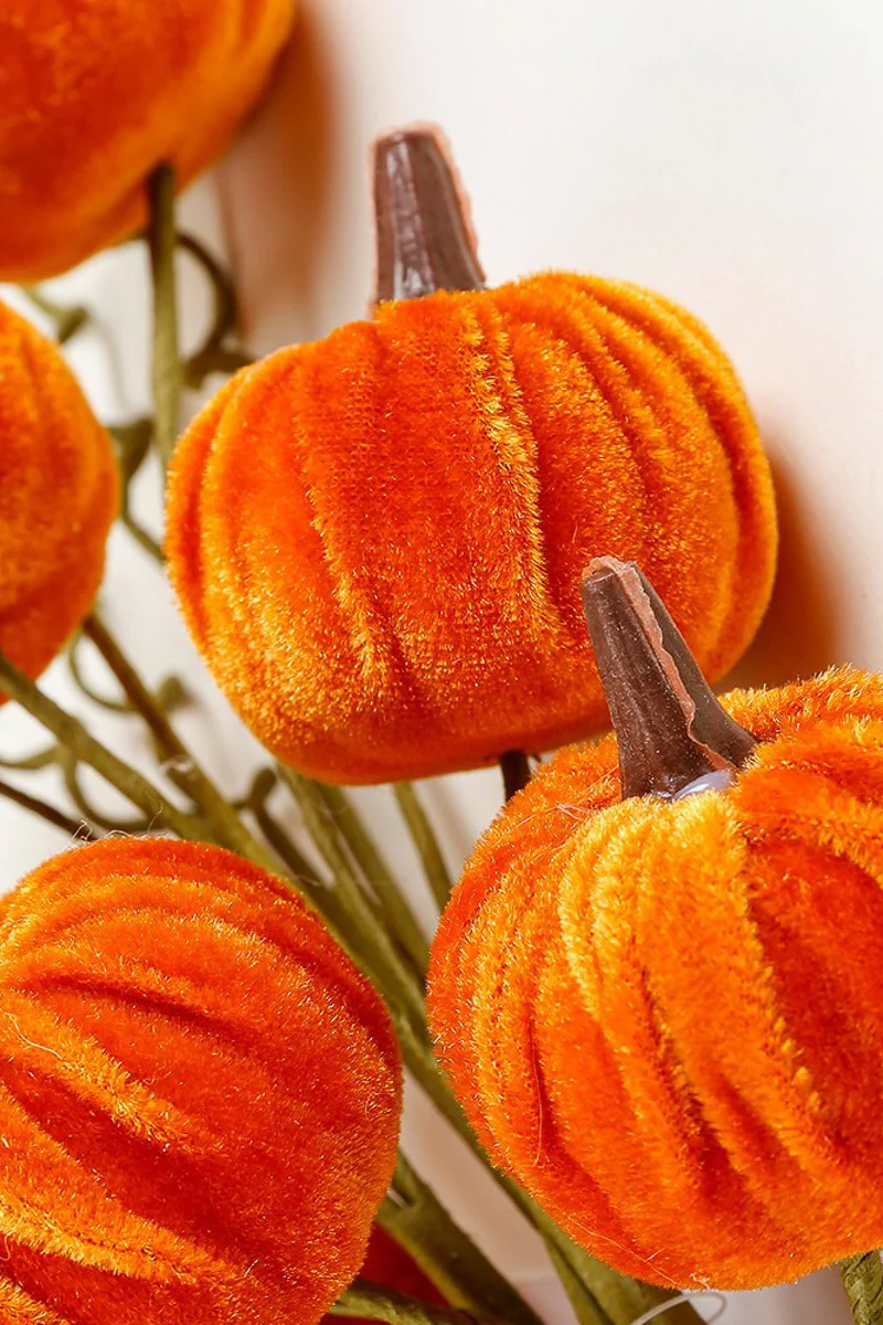 Pumpkin Stem Velvet 17" - Image 2