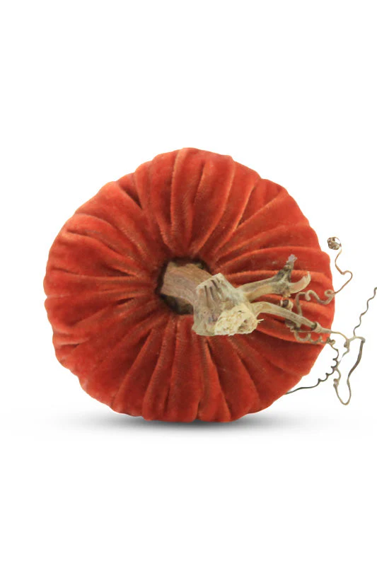 Plush Pumpkin Velvet Pumpkin 6" Apricot - Image 3
