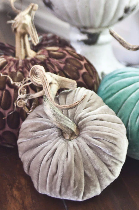 Plush Pumpkin Velvet Pumpkin 5" Putty