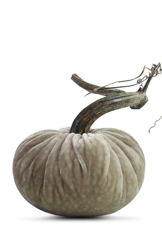 Plush Pumpkin Velvet Pumpkin 5" Putty - Image 2