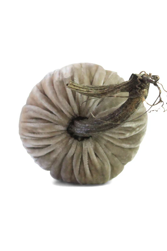 Plush Pumpkin Velvet Pumpkin 5" Putty - Image 3