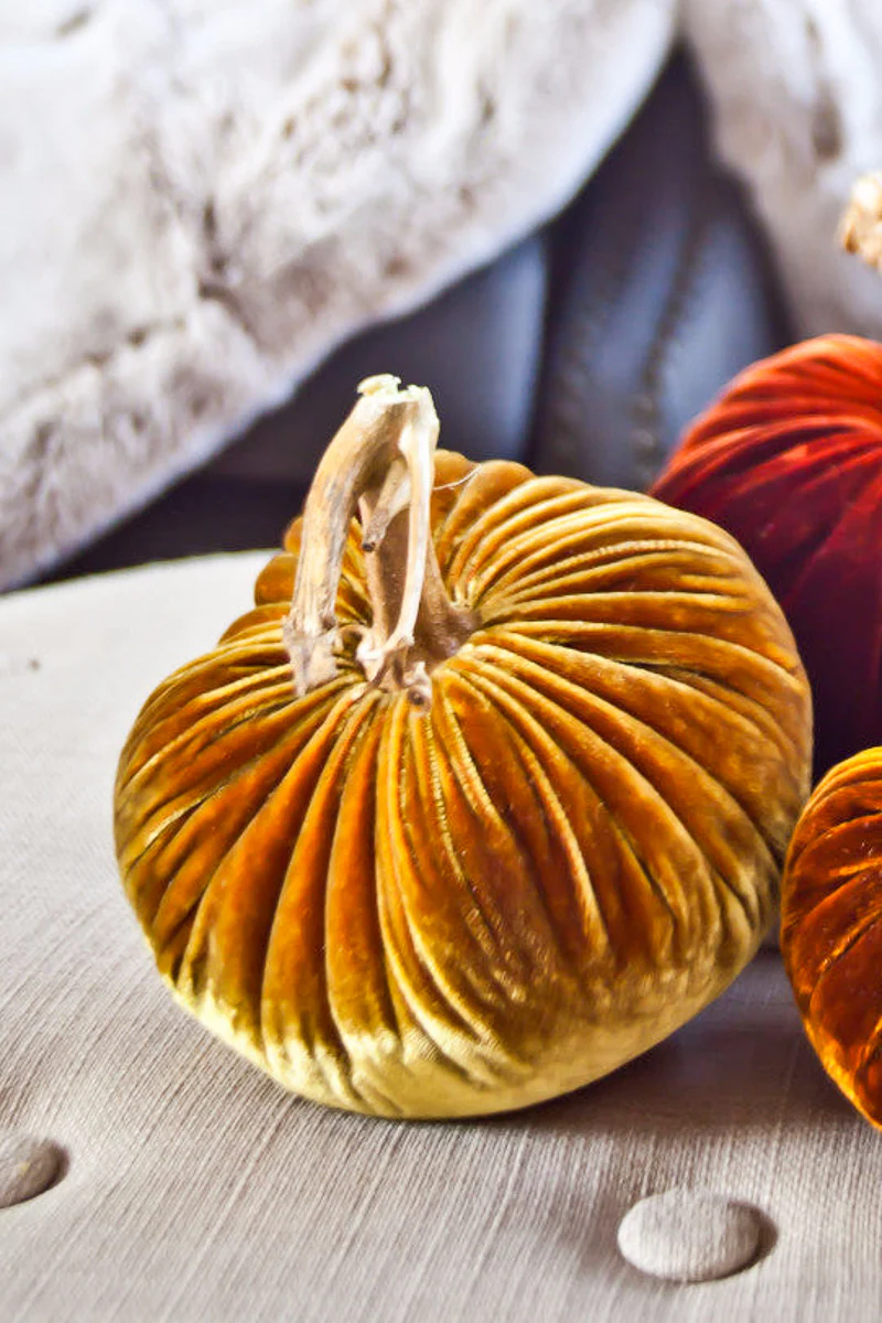Plush Pumpkin Velvet Pumpkin 13" Curry