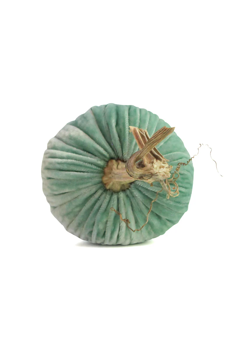 Plush Pumpkin Velvet Pumpkin 6" Lagoon - Image 3
