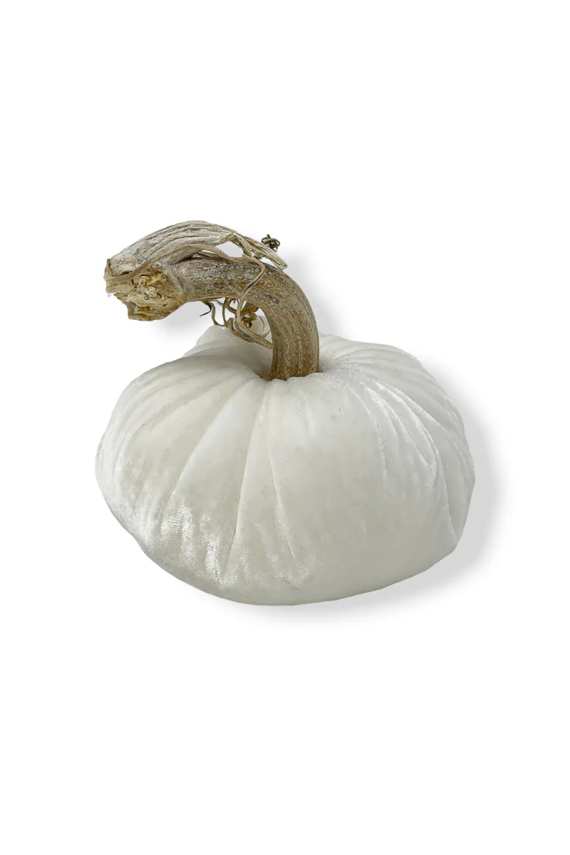 Plush Pumpkin Velvet Pumpkin 8" Snow - Image 2