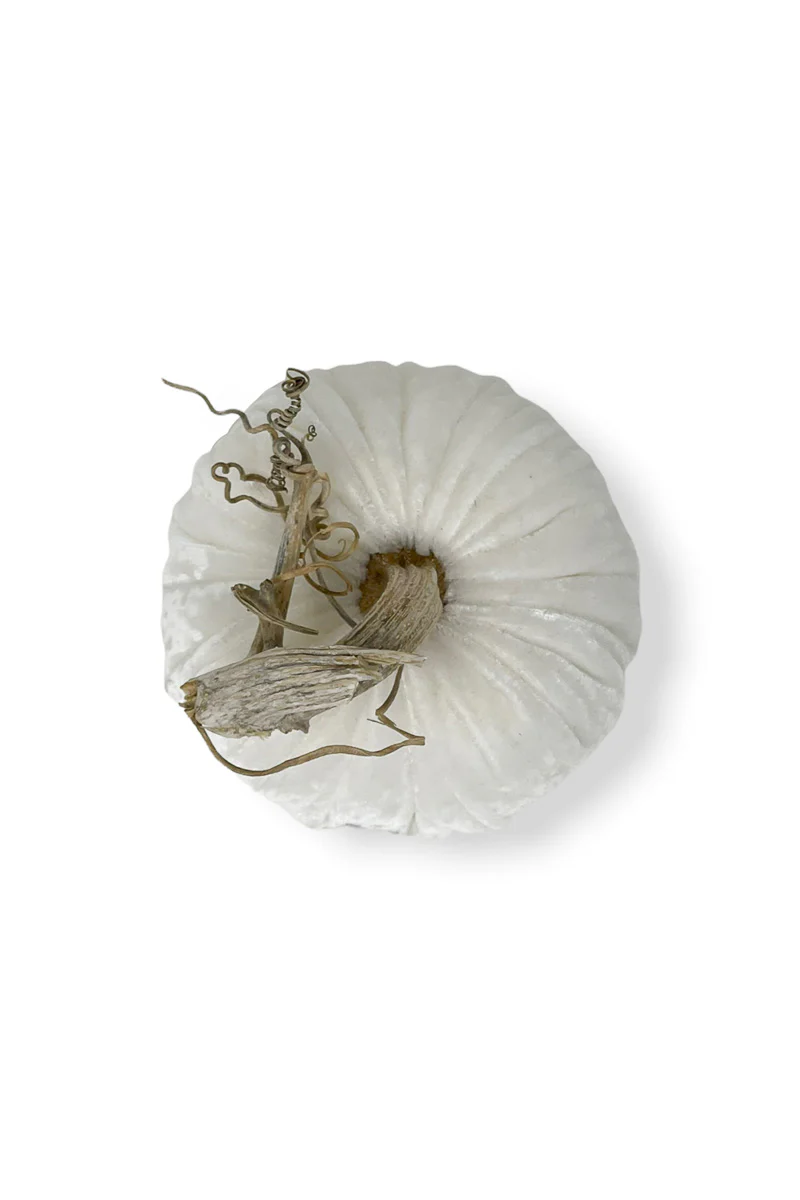 Plush Pumpkin Velvet Pumpkin 8" Snow - Image 3