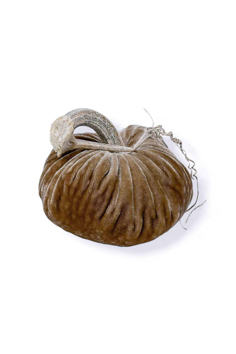 Plush Pumpkin Velvet Pumpkin 6" Stone - Image 2