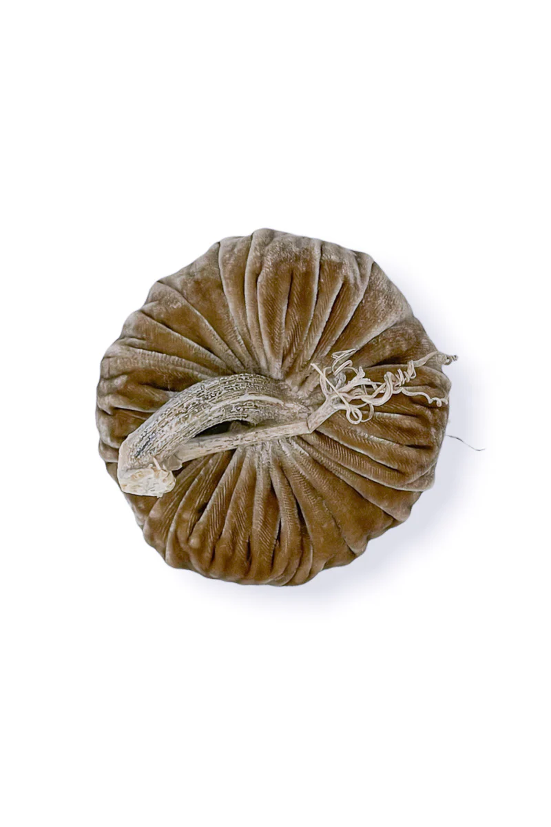 Plush Pumpkin Velvet Pumpkin 6" Stone - Image 3