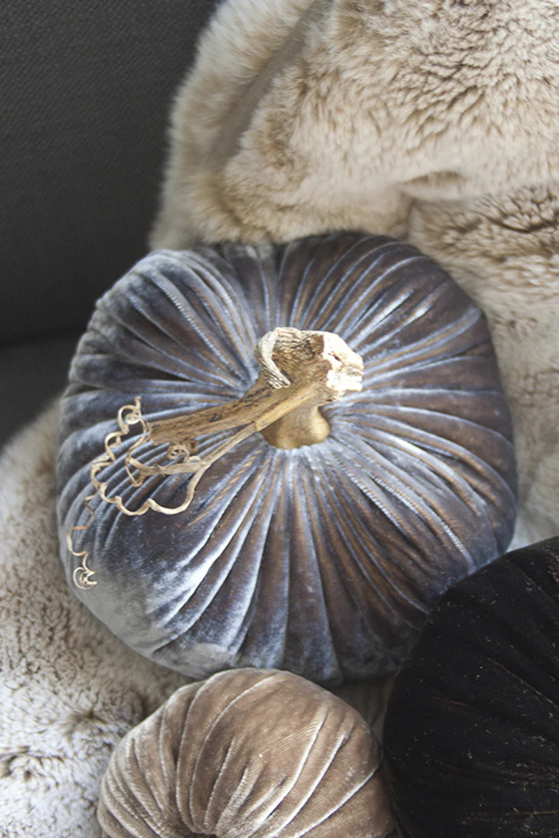 Plush Pumpkin Velvet Pumpkin 4" Smokey Topaz