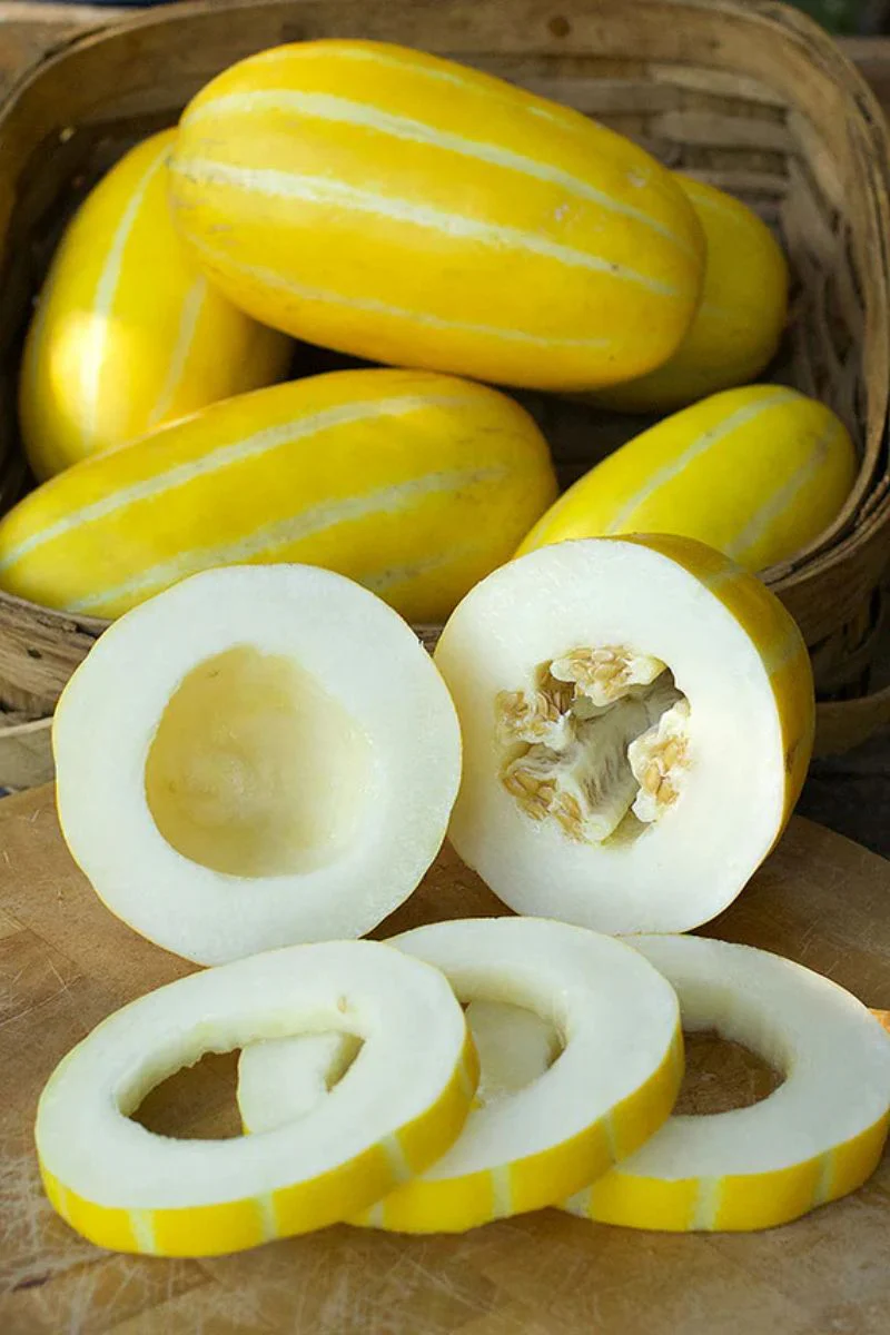 Renee's Garden Asian Melon Golden Giant Seeds - Image 2
