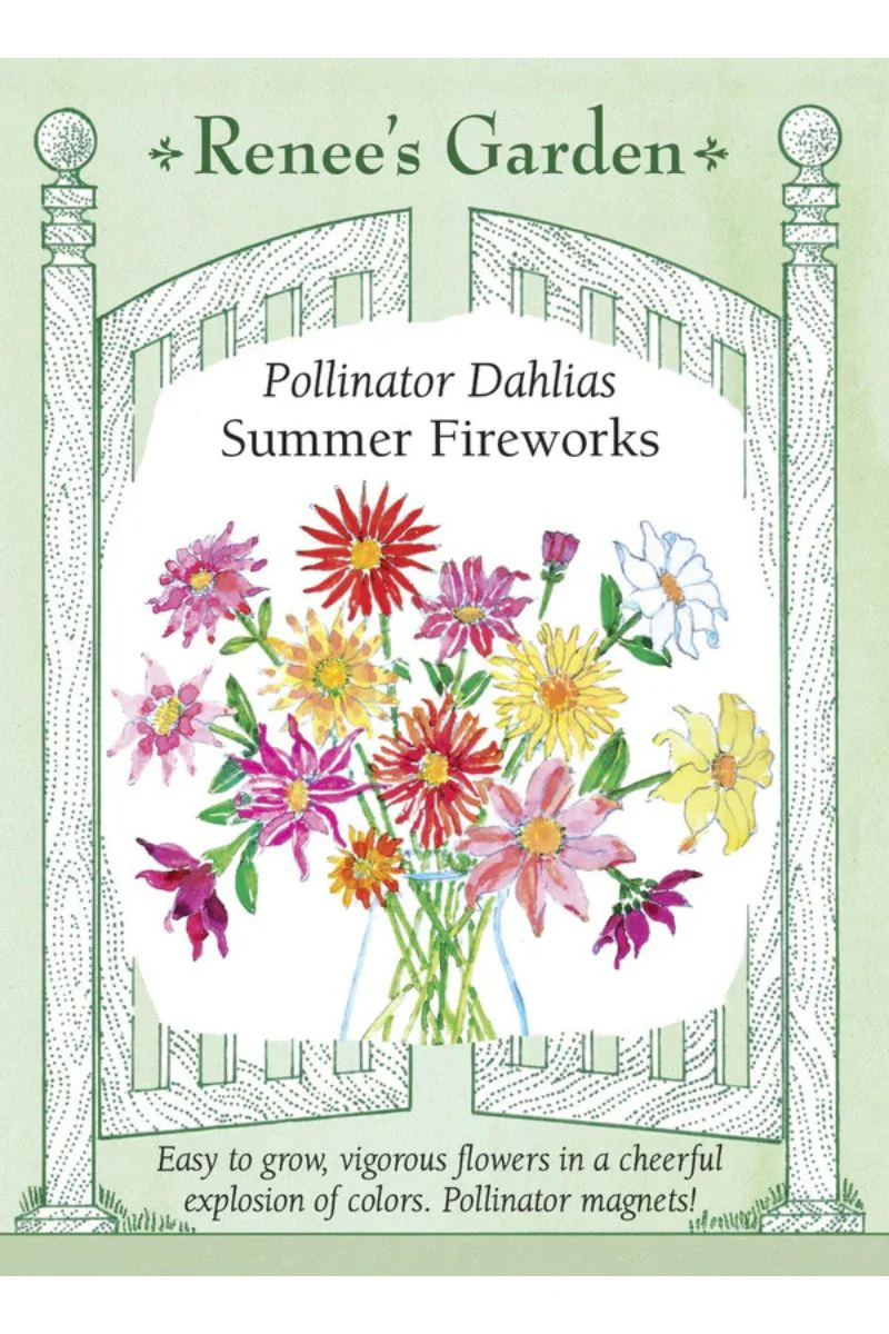 Renee's Garden Pollinator Dahlias 'Summer Fireworks' Seeds