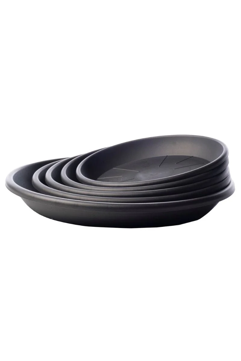 Medea Saucer 7.75" Anthracite